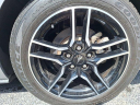Thumbnail image of 2022 Ford Mustang at Ed Martin Budget Car Sales. USED