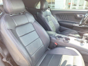 Thumbnail image of 2022 Ford Mustang at Ed Martin Budget Car Sales. USED
