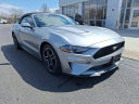 Thumbnail image of 2022 Ford Mustang at Ed Martin Budget Car Sales. USED