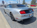 Thumbnail image of 2022 Ford Mustang at Ed Martin Budget Car Sales. USED