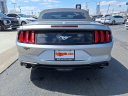Thumbnail image of 2022 Ford Mustang at Ed Martin Budget Car Sales. USED