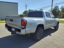 Thumbnail image of 2023 Toyota Tacoma at Berglund Toyota