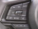 Thumbnail image of 2024 Subaru Crosstrek at Jenkins Subaru of Ocala - NEW