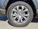 Thumbnail image of 2023 Toyota RAV4 Hybrid at Toyota Of Orange