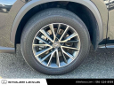 2024 Lexus NX 350h Premium at Stoler Lexus