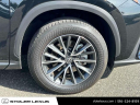 Thumbnail image of 2024 Lexus NX 350h at Stoler Lexus