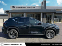 Thumbnail image of 2024 Lexus NX 350h at Stoler Lexus