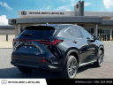 Thumbnail image of 2024 Lexus NX 350h at Stoler Lexus