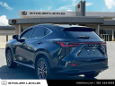 Thumbnail image of 2024 Lexus NX 350h at Stoler Lexus