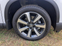 Thumbnail image of 2025 Honda Pilot at Langdale Honda Of Valdosta - NEW