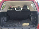 Thumbnail image of 2022 Toyota 4Runner at JenkinsHyundaiOfJacksonville-New of Jacksonville, FL