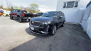 Thumbnail image of 2025 Cadillac XT6 at New Rochelle Chevrolet