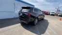 Thumbnail image of 2025 Cadillac XT6 at New Rochelle Chevrolet