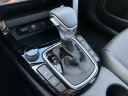 Thumbnail image of 2025 Kia Seltos at Waterloo Ford Kia