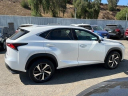 Thumbnail image of 2021 Lexus NX 300 at Fredy Kia