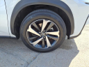 Thumbnail image of 2021 Lexus NX 300 at Fredy Kia