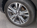 Thumbnail image of 2020 Nissan Pathfinder at Ciocca Nissan of Quakertown - NEW