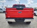Thumbnail image of 2023 Ford F-150 at Al White Motors