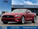 Thumbnail image of 2022 Ford Mustang at Jackson Ford