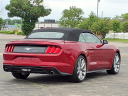 Thumbnail image of 2022 Ford Mustang at Jackson Ford