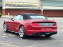 Thumbnail image of 2022 Ford Mustang at Jackson Ford