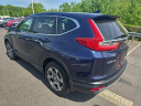 Thumbnail image of 2019 Honda CR-V at Hamilton Honda