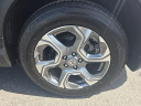 Thumbnail image of 2019 Honda CR-V at Hamilton Honda