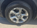 Thumbnail image of 2019 Honda CR-V at Hamilton Honda