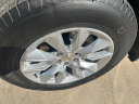 Thumbnail image of 2024 Chevrolet Silverado 1500 at Midway Motors Hutchinson