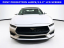 Thumbnail image of 2024 Ford Mustang at MccaffertyFordOfLanghorne of Langhorne, PA