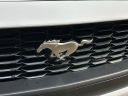 Thumbnail image of 2024 Ford Mustang at MccaffertyFordOfLanghorne of Langhorne, PA