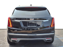 Thumbnail image of 2022 Cadillac XT5 at Smithtown Buick Pontiac Gmc