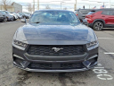 Thumbnail image of 2024 Ford Mustang at Conicelli Honda - USED