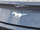 Thumbnail image of 2024 Ford Mustang at Conicelli Honda - USED