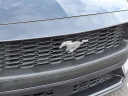 Thumbnail image of 2024 Ford Mustang at Conicelli Honda - USED
