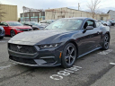 Thumbnail image of 2024 Ford Mustang at Conicelli Honda - USED