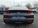 Thumbnail image of 2024 Ford Mustang at Conicelli Honda - USED