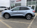 Thumbnail image of 2022 Ford Escape at Fredonia Chrysler, Dodge & Jeep