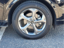 Thumbnail image of 2024 Ford Escape at Tillery Buick Gmc