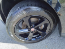 Thumbnail image of 2019 Jaguar F-PACE at Mathews Nissan