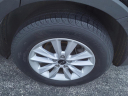 Thumbnail image of 2019 Kia Sorento at Kia Of Bradley