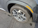 Thumbnail image of 2022 Hyundai PALISADE at 1 EM Used