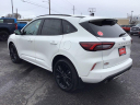 Thumbnail image of 2023 Ford Escape at Ontario Auto Ranch Ford + CDJR