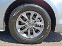 Thumbnail image of 2024 Toyota Sienna at Conicelli Toyota of Conshohocken - NEW