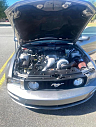 Thumbnail image of 2008 Ford Mustang at Mike Vaughn's Auto Exchange