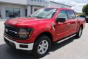 Thumbnail image of 2024 Ford F-150 at ChestateeFordMercuryUSED of Dahlonega, GA