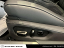Thumbnail image of 2025 Lexus LC 500 Convertible at Stoler Lexus