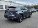 Thumbnail image of 2023 Lexus NX 350 at Lexus of Smithtown