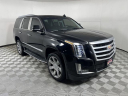 Thumbnail image of 2018 Cadillac Escalade at Serpentini Chevrolet of Medina