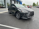 Thumbnail image of 2022 Lexus NX 350h at Keeler Motor Company Honda